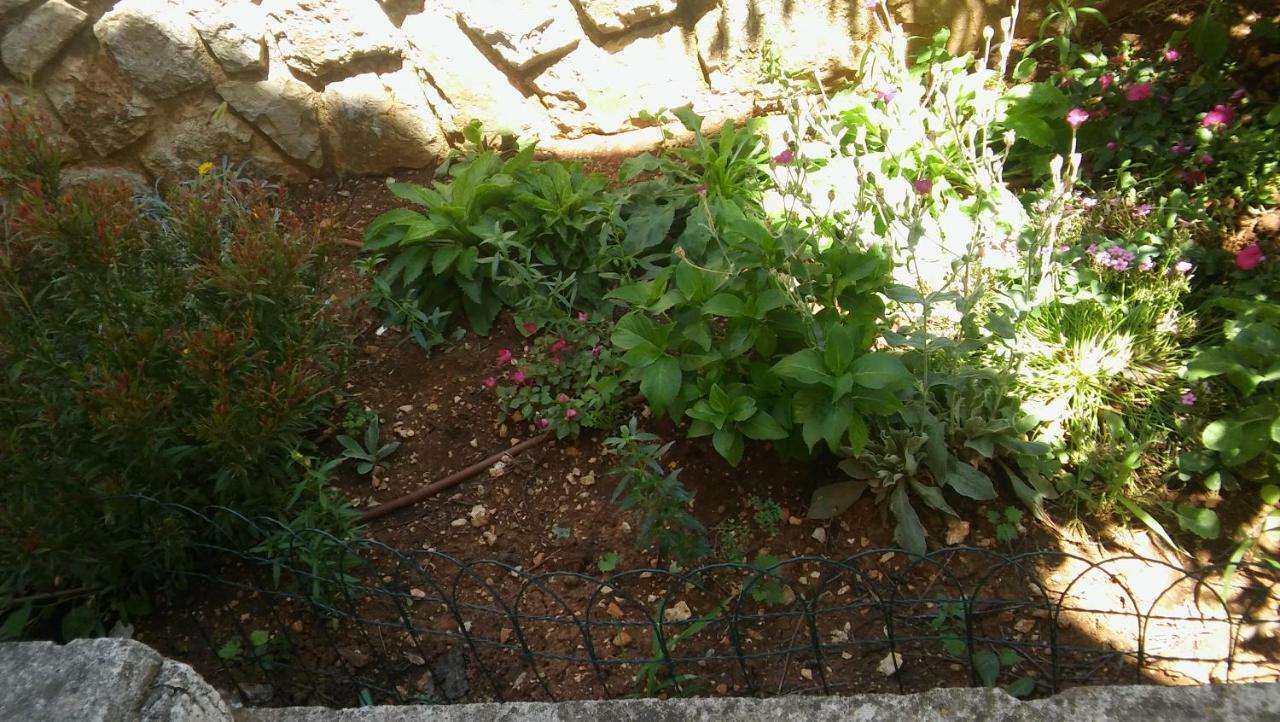 Apartmani Vitkovic II كريس المظهر الخارجي الصورة