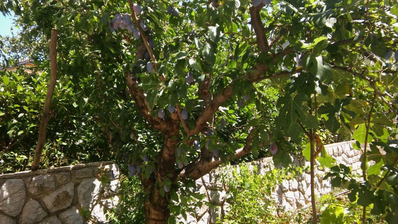 Apartmani Vitkovic II كريس المظهر الخارجي الصورة